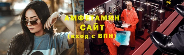прущие грибы Елабуга