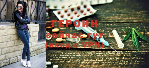 прущие грибы Елабуга