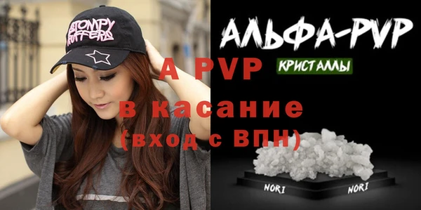 прущие грибы Елабуга