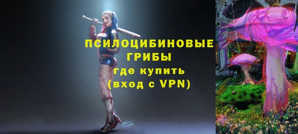 спайс Елизово