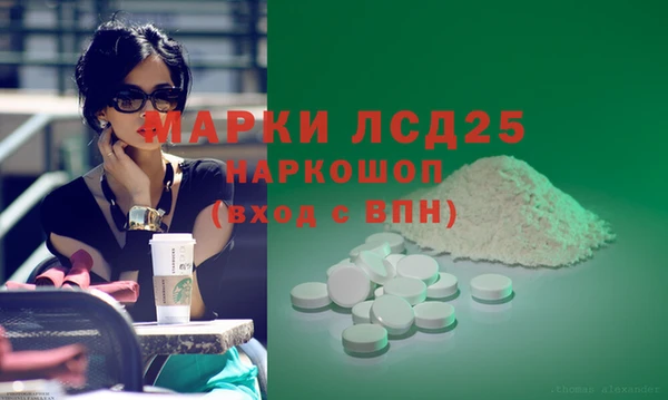 прущие грибы Елабуга