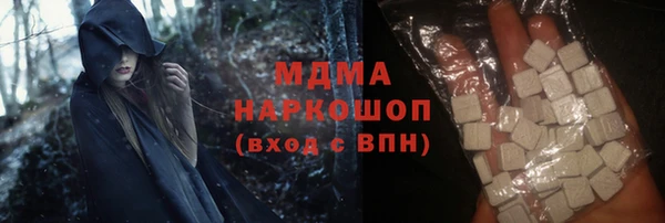 прущие грибы Елабуга