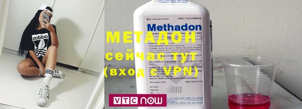 прущие грибы Елабуга