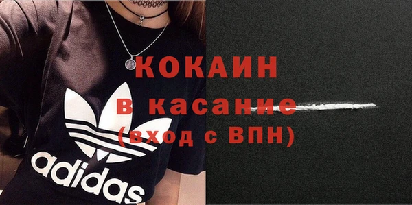 прущие грибы Елабуга