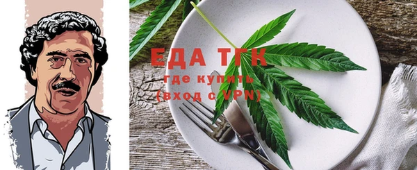 прущие грибы Елабуга
