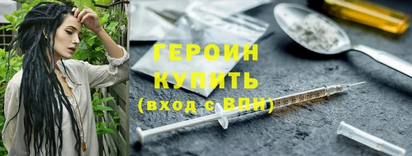 прущие грибы Елабуга