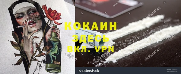 прущие грибы Елабуга