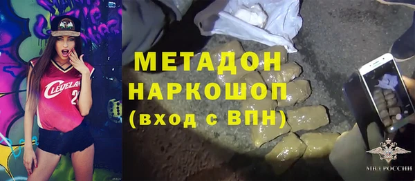 прущие грибы Елабуга