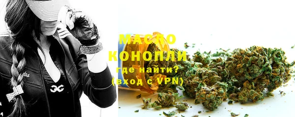 прущие грибы Елабуга