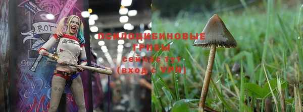 спайс Елизово