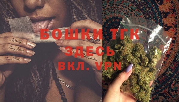 mix Ельня