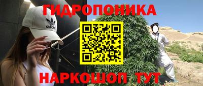 трава Гай